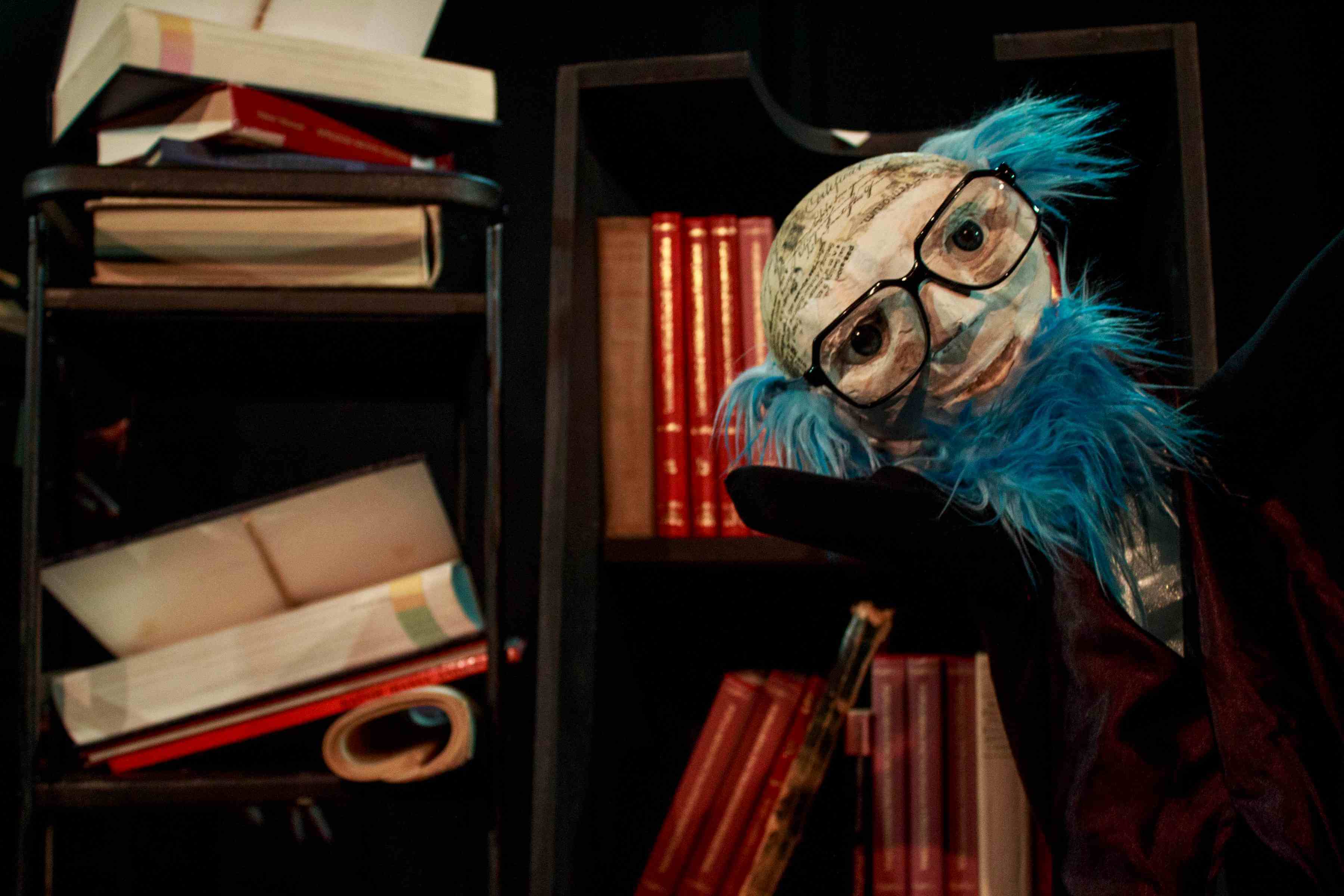 po prawej stronie znajduje się lalka przedstawiająca starca w okularach, niebieskich włosach i brodzie w czerwonej marynarce, ma on rozpostarte ręce i pogodny wyraz twarzy, za nim widoczne półki z książkami